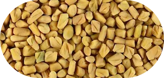 Fenugreek 
