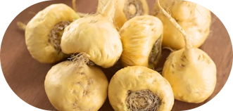 Maca Root